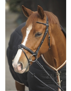 Bridle Point Sellier - Black