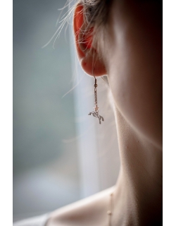 Diane charm earings