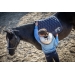 Classic Point Sellier Saddle Pad - Navy & Navy