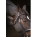 Symphonie Bridle - Black