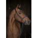Daily Strass Bridle - Black