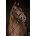 Daily Strass Bridle - Black