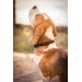 Collier pour Chien Billie - Noir