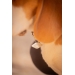 Collier pour Chien Billie - Noir