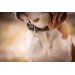 Billie Dog Collar - Black